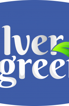 SilverGreen Technology